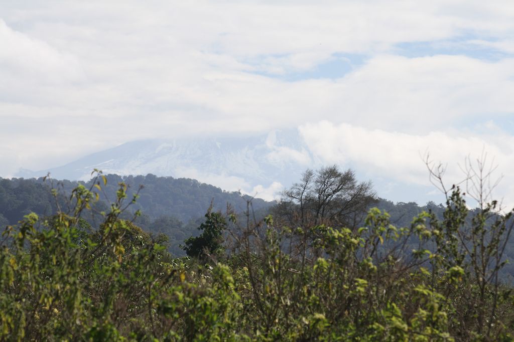 20091105 006 Arusha NP Blick auf Kili