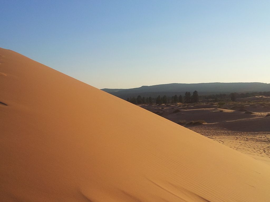 20120930 082 Coral_Pink_Sand_Dunes_State_Park