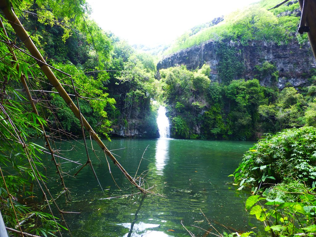 20131209 012 Sentier_du_Bassin_Comoran