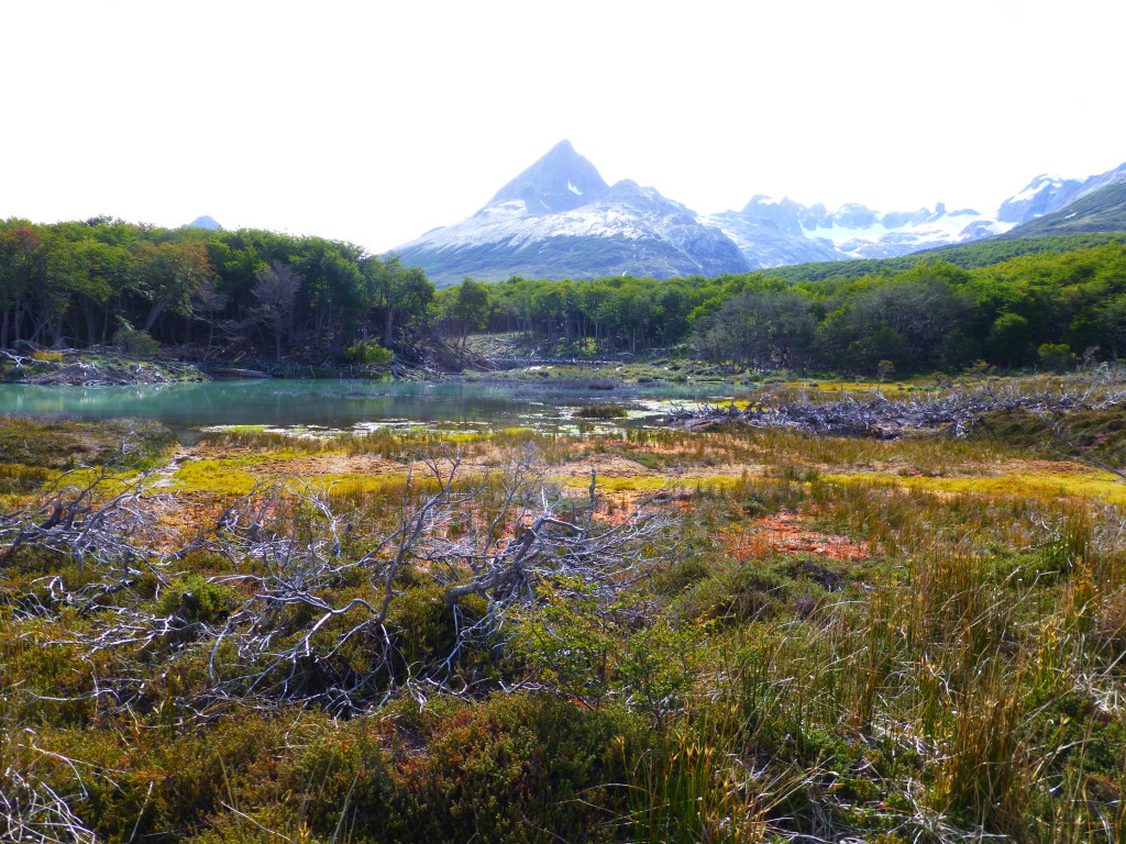 Ushuaia(Ar) Laguna Esmeralda
