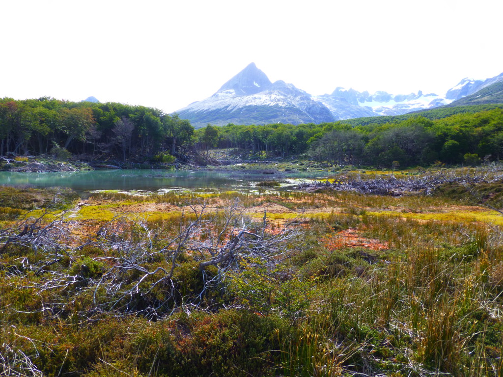 Ushuaia(Ar) Laguna Esmeralda