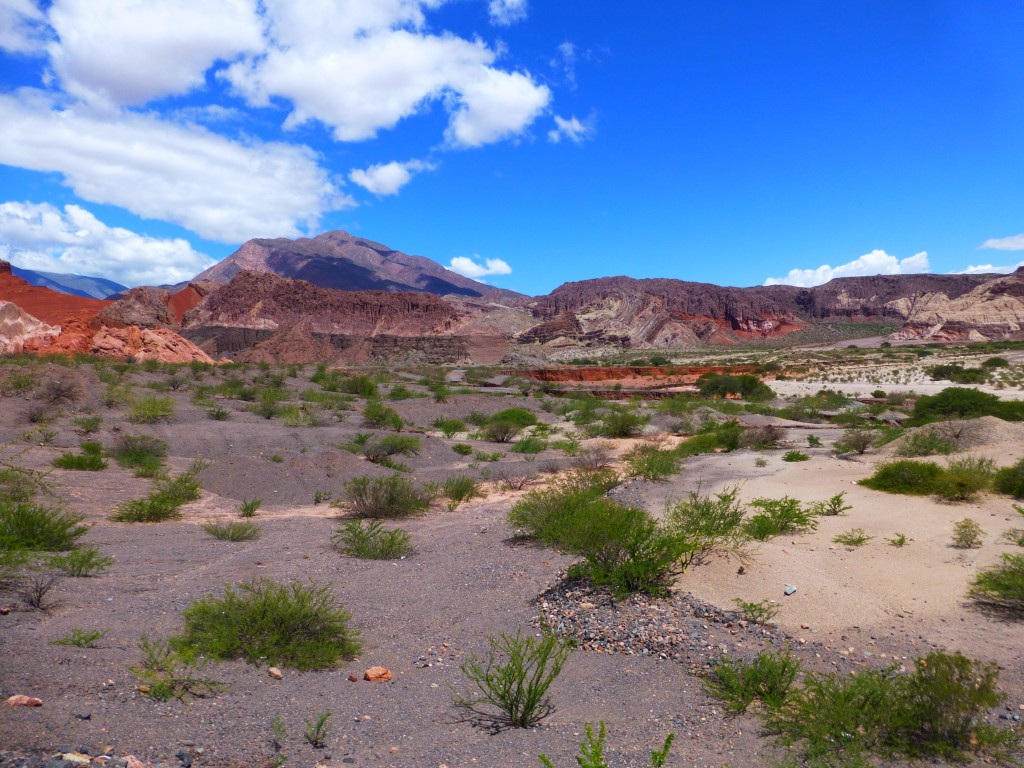 20150308 106 Salta-Cafayate(Ar)