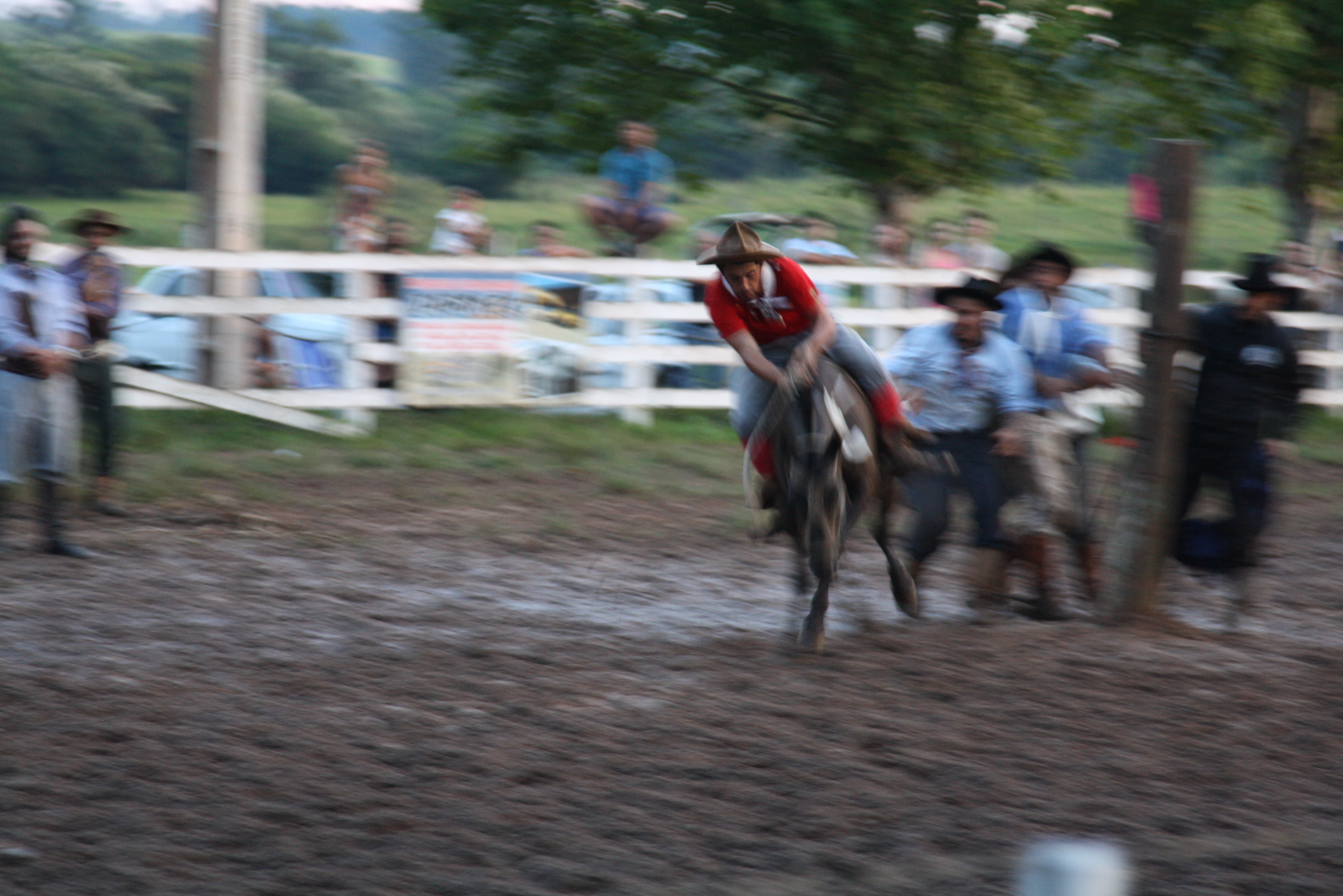 Nova Hartz Rodeo