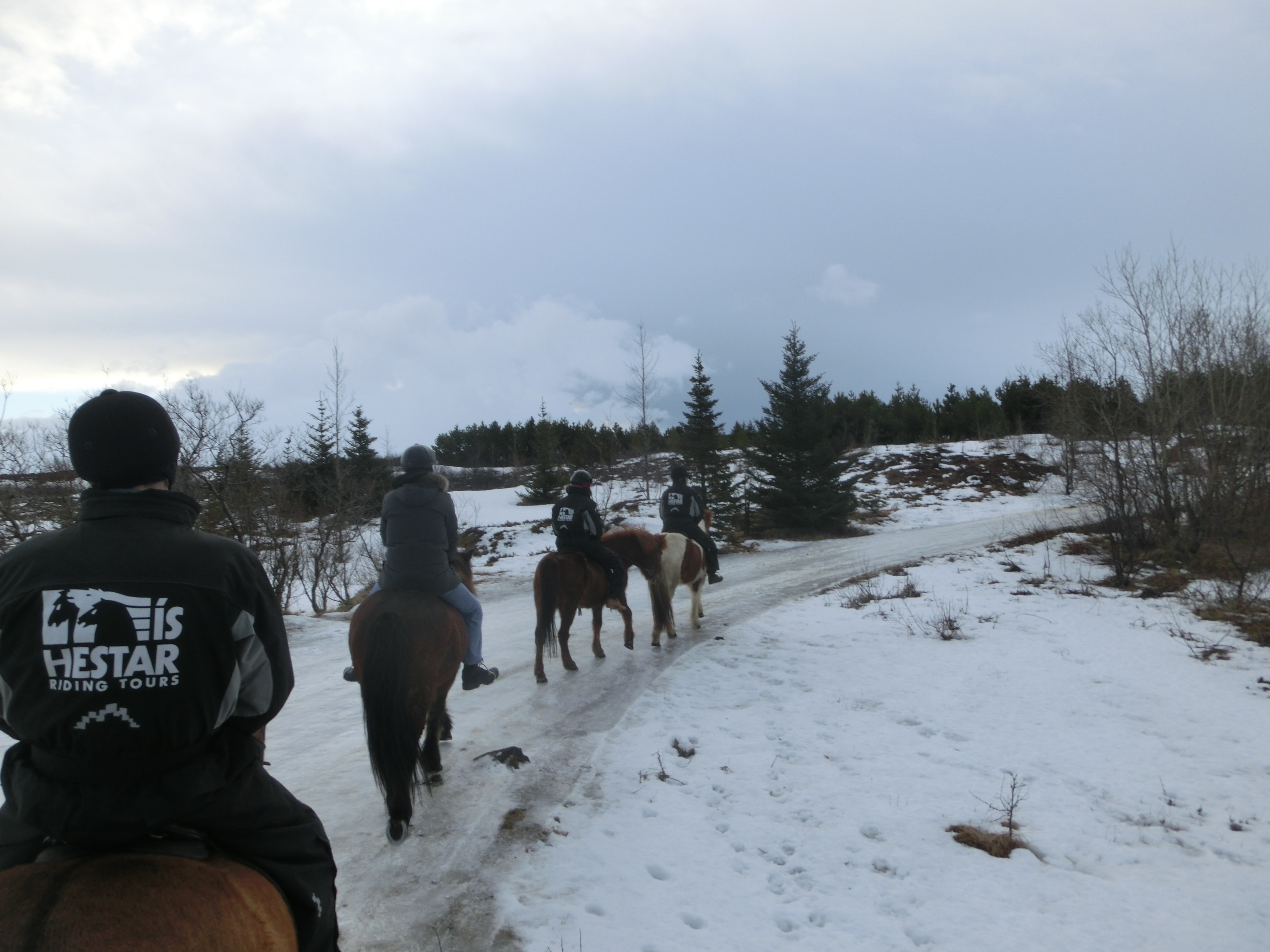 Reykjavik horse riding
