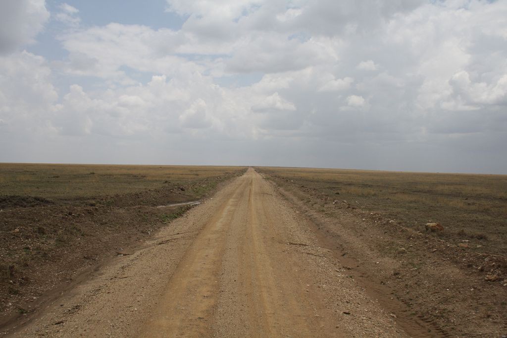 20091109 108 Serengeti NP