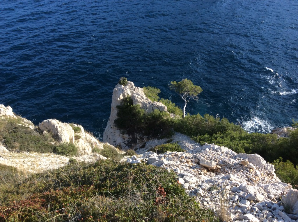 Calanque de Morgiou