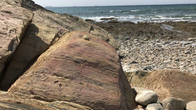Sines Praia da Pelengana