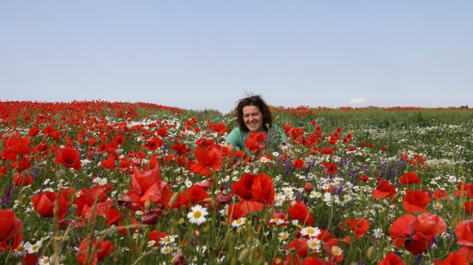 K20110610 02 Wismar Mohnblumen