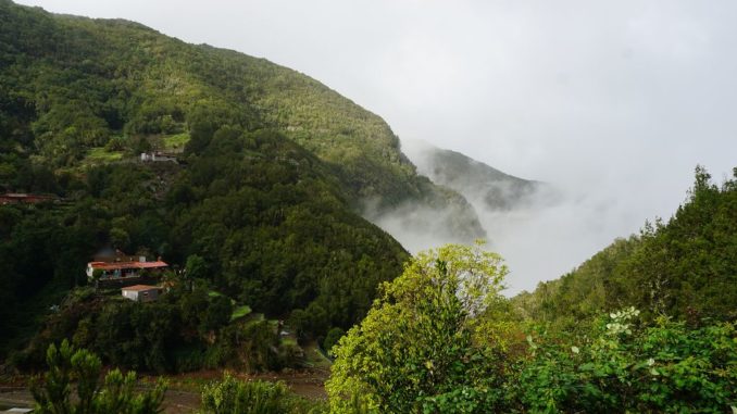 k-20201226 35 Gomera El_Cedro