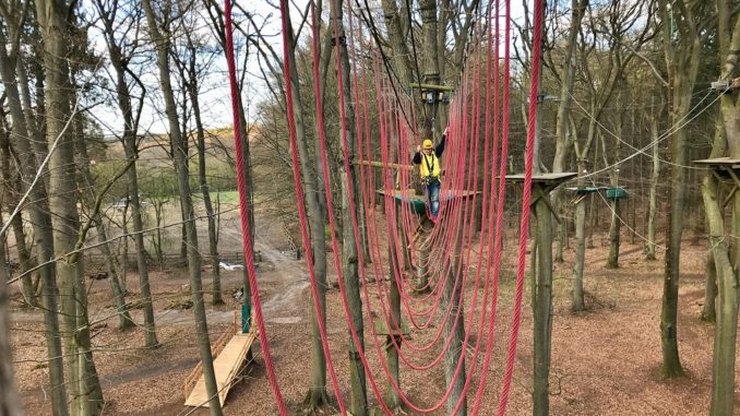 k-20210424 132 Sachsenwald
