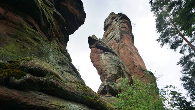 K20210513 020 Bindersbach Asselstein